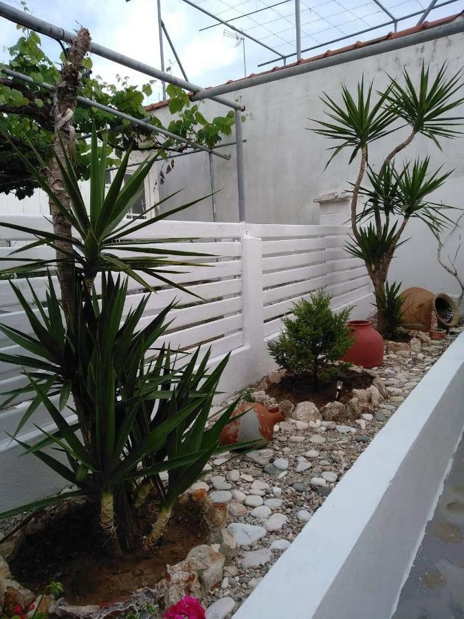 Sea&Stone Apartment สกาลาโซติรอส ภายนอก รูปภาพ